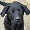 Nera W Valcea